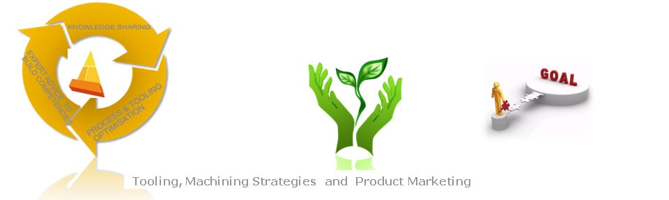 Ravi Naik Consulting Specialist